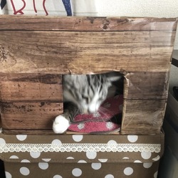 家族が増える準備