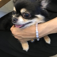 かんな