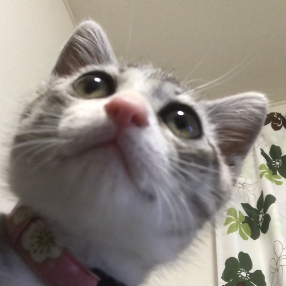 しずくのカバー写真