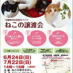 ねこの幸せさがし　譲渡会