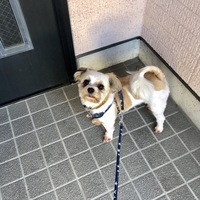 オラフ
