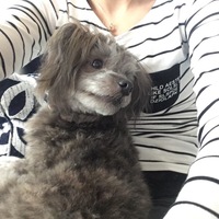 吉田もずく
