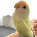 ご連絡くださった皆様ありがとうございました