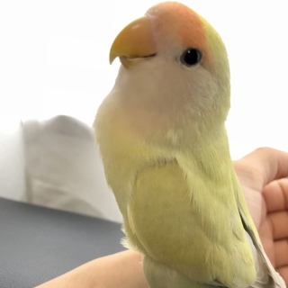 ご連絡くださった皆様ありがとうございました