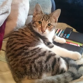 あまえんぼうのおんなのこです♪