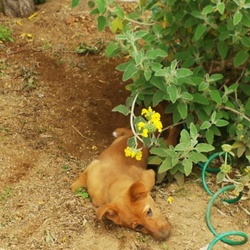 「エマの悪癖暴露ログ（証拠写真付き）」サムネイル2