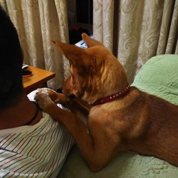 「エマの悪癖暴露ログ（証拠写真付き）」サムネイル3