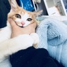 飼い主に構ってもらいたくて