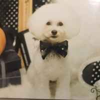 ククイ