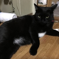 クウ