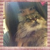  さん