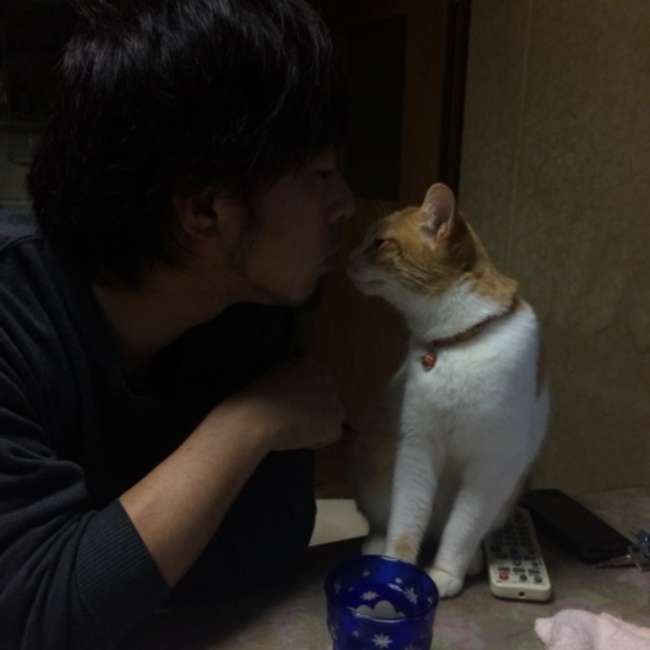 しんや さやかのカバー写真