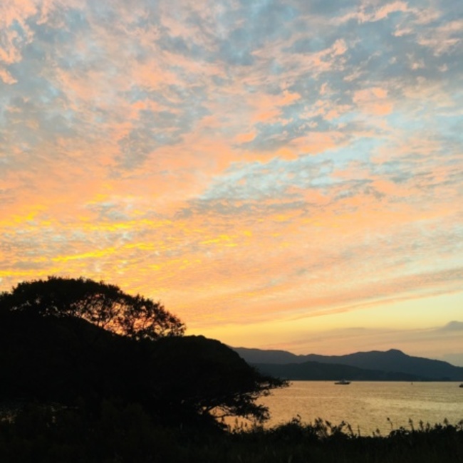 おテリーのカバー写真