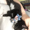 遊びまくってスタミナ切れ。瞬寝ｗｗ