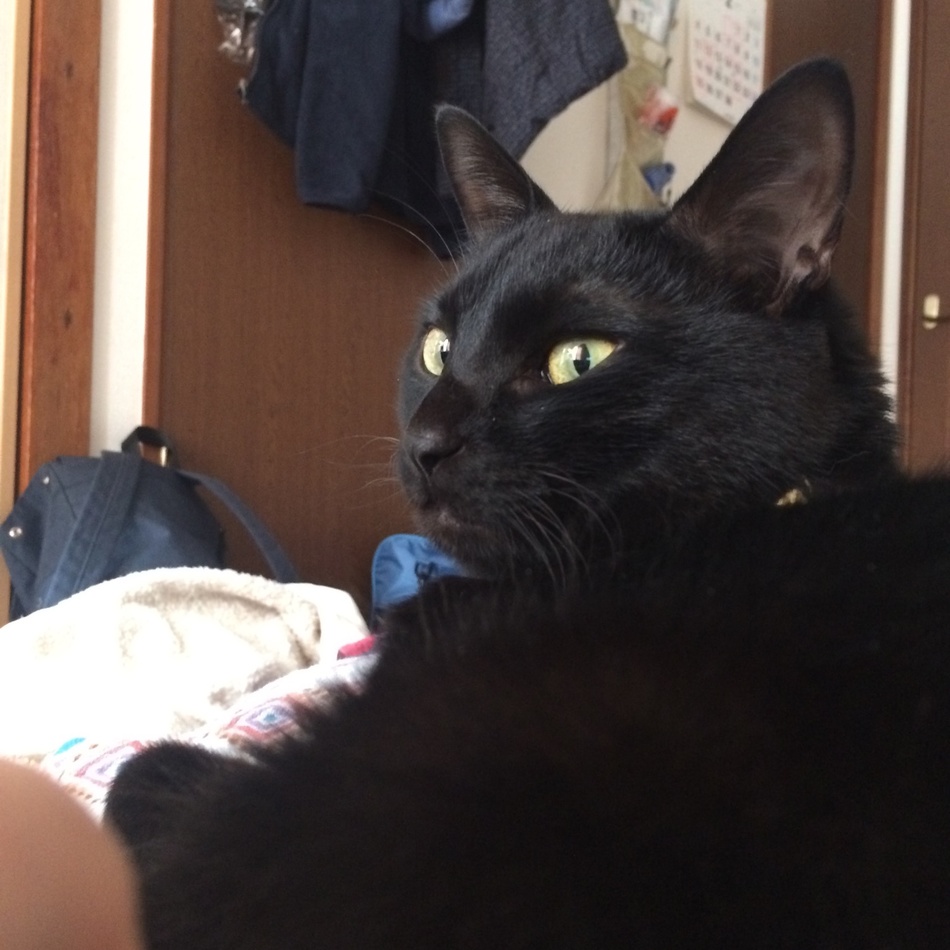 むっ太のカバー写真