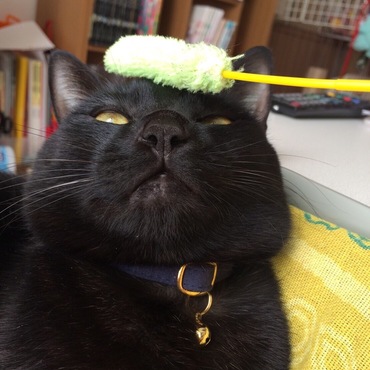 ﾌｸﾞｩ