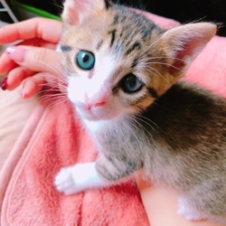 「みなさん大丈夫ですか？」サムネイル1