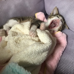 「みなさん大丈夫ですか？」サムネイル2