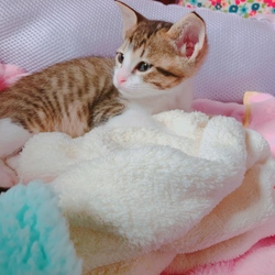 「みなさん大丈夫ですか？」サムネイル3