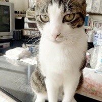 ちー
