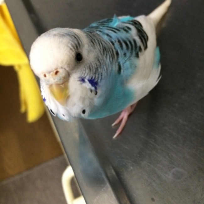 yuta73のカバー写真