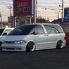 白卵@TCR