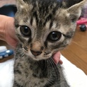 4月23日に産まれました！