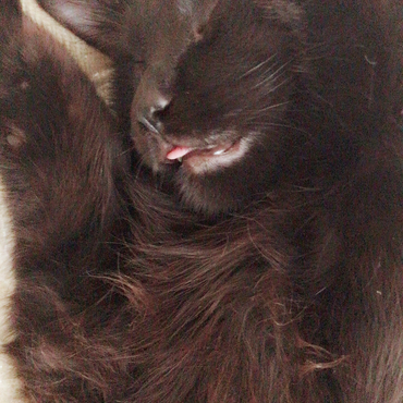 の写真