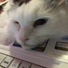 ふてくされ中٩(๑`^´๑)