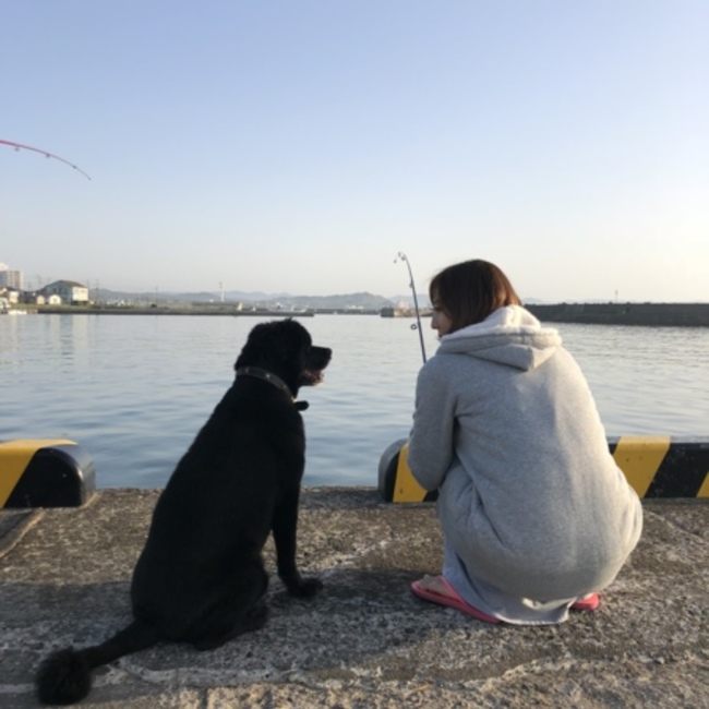 Candy-kのカバー写真