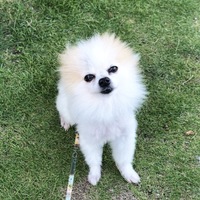 まりちゃん