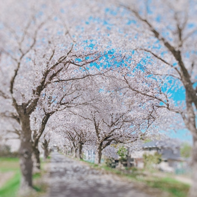 ずっとのおうち探し(茨城)のカバー写真