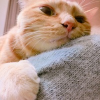 ちゅちゅ