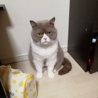 福