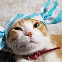 マイケル
