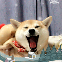 あずき