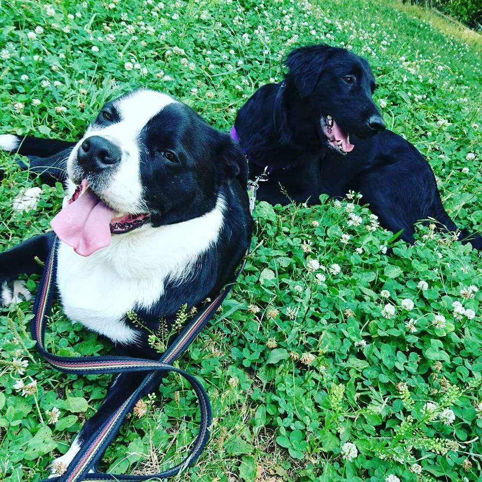 ノエルのカバー写真