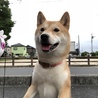  さん