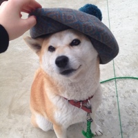 ゆき