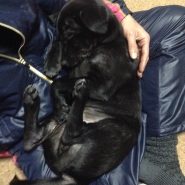 胡坐の中が大好き