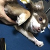 の写真