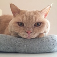 マグリット
