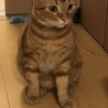  さん