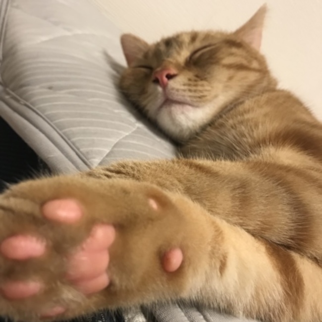 ゆきち07のカバー写真