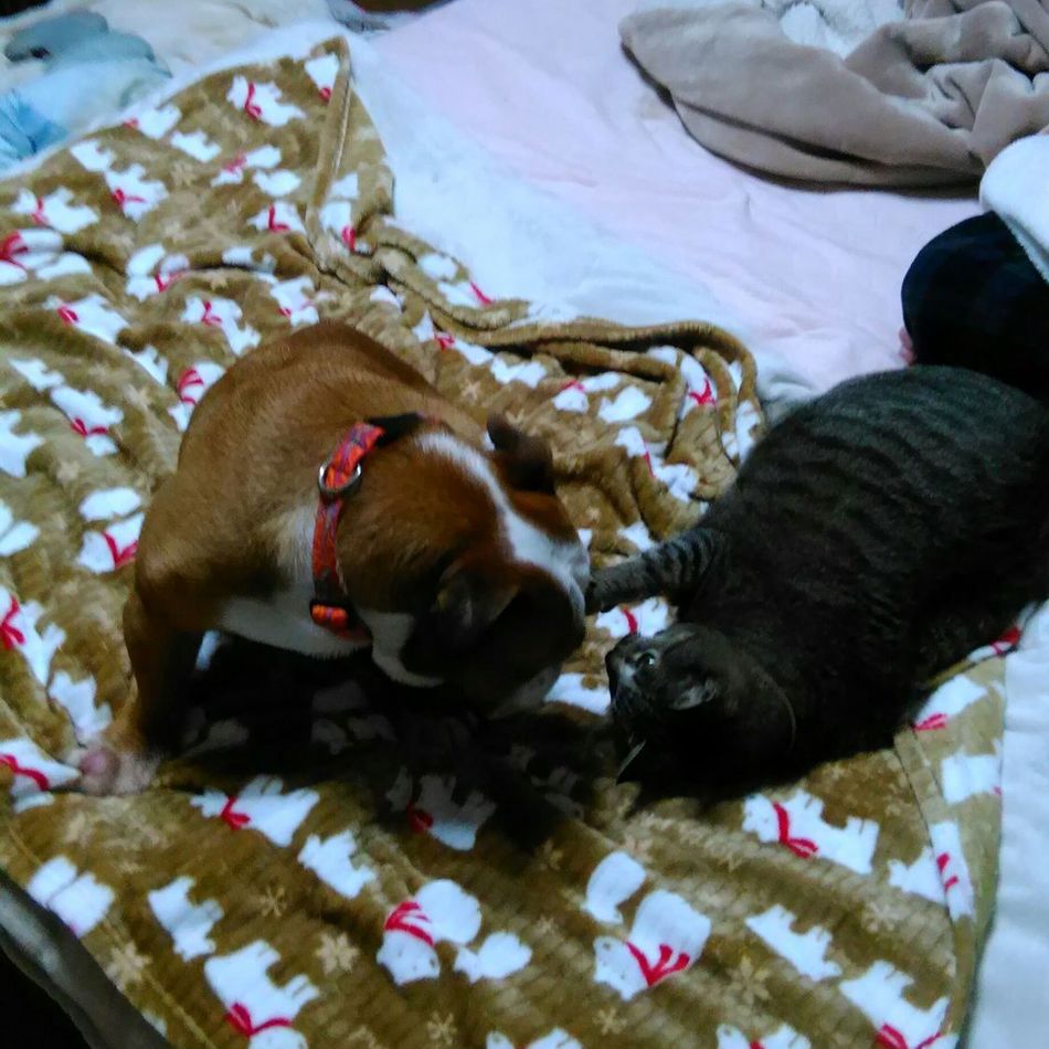 岩橋和世のカバー写真