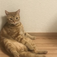 ゆきち