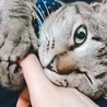 ママの手、甘噛み中！( ＾∀＾)ウィンク風✳︎