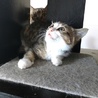 あきちゃんずさん