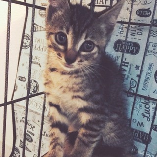 ☆とっても優しいママに出逢えました！感謝！☆