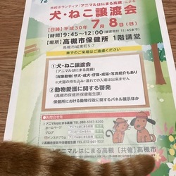 アニマルはにまる高槻による犬・猫譲渡会